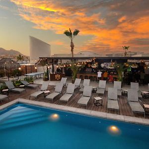 Mayan Monkey Los Cabos